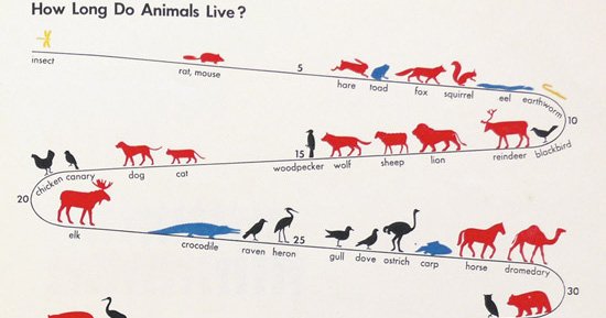 ISOTYPE Creator Otto Neurath’s Pioneering 1930 Visual Language – The Marginalian